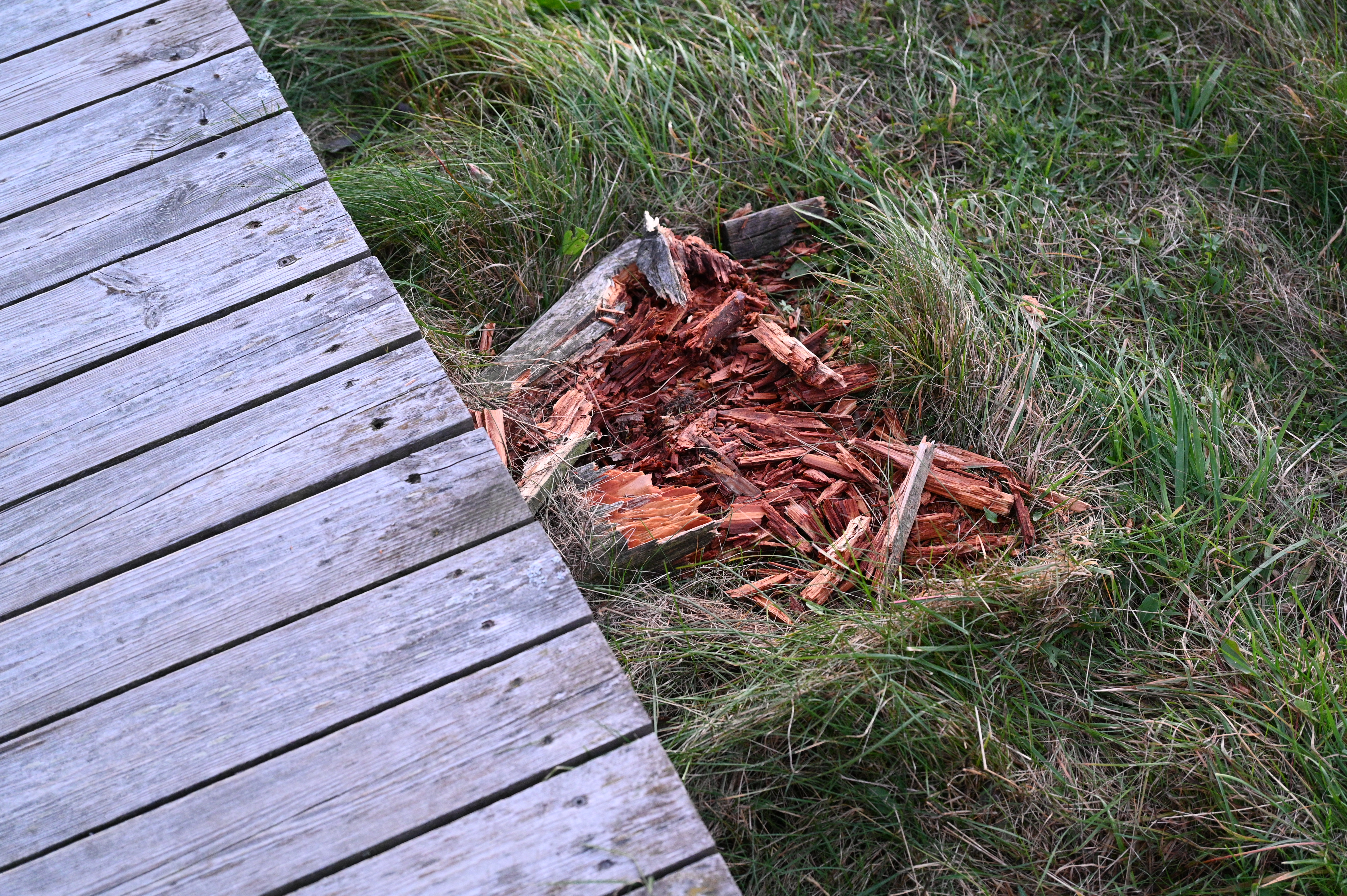 2025/10/18 - walk/DSC_0582.JPG